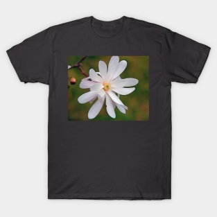 Magnolia T-Shirt